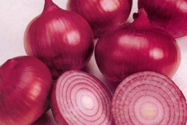 Krakenruzxpnew4af onion