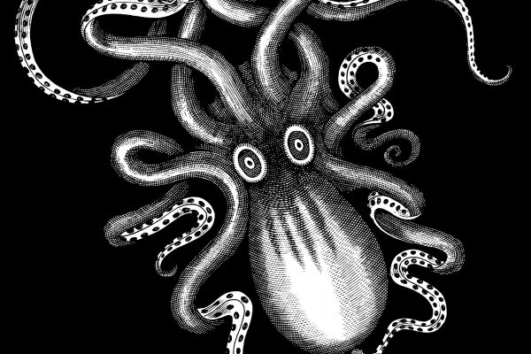 2kr pro kraken